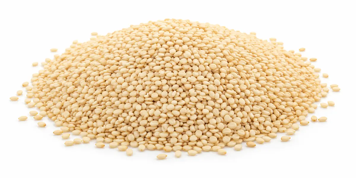 Indian sesame seeds — natural hulled seeds — buyer guide by VKRUND ENTERPRISE