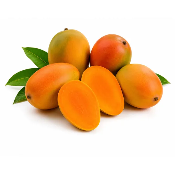 GI-tagged Gir Kesar mango from Talala, Gujarat — whole fruit and cut halves showing saffron-orange pulp — VKRUND ENTERPRISE, fresh mango exporter from India