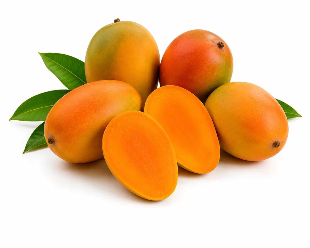 Indian Kesar and Alphonso mangoes by VKRUND ENTERPRISE — whole and cut fruit with saffron-orange pulp — fresh mango, pulp and dried mango exporter from India