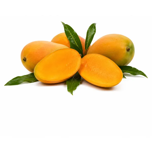 Totapuri mango for pulp and juice processing — whole and cut fruit — VKRUND ENTERPRISE, bulk mango exporter from India